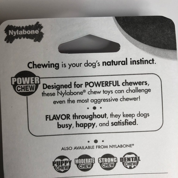 2 Pack Nylabone long lasting chew bones Winter Green, Turkey & Berries Flavor - Picture 6 of 9